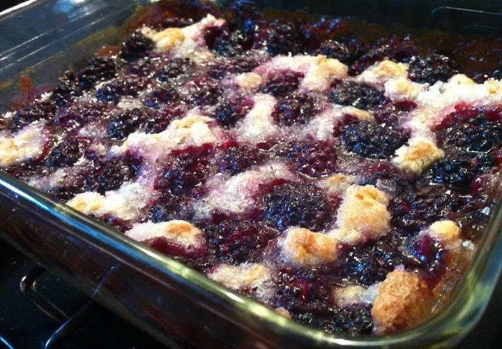 Homemade Kentucky Blackberry Cobbler