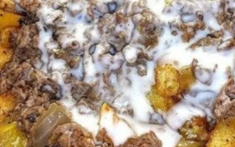 PHILLY STEAK CHEESE FRIES